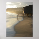 Alligator Pond Posters