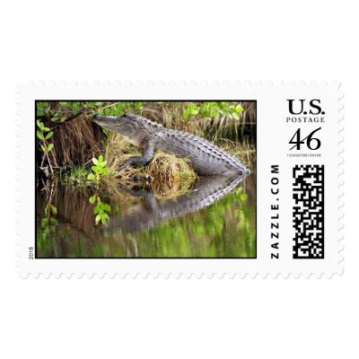 Alligator Stamp by wildlifezoo