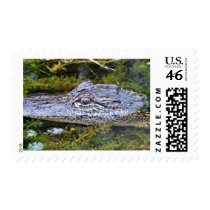 Alligator Postage