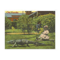 ALLIGATOR POWER, Old Florida postcards
