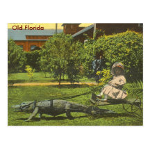 ALLIGATOR POWER, Old Florida Postcards