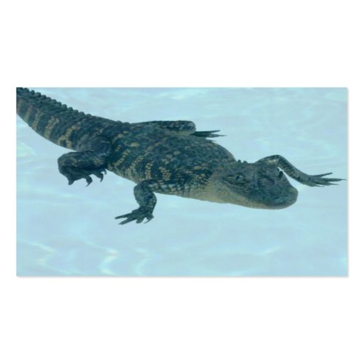 Alligator Profile Card Business Card Template (back side)