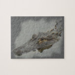 alligator puzzle
