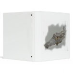 Alligator  ring binder