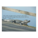 Alligator Scripture posters by cherylarogers Alligator Scripture posters