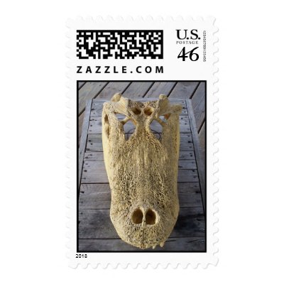 Alligator skull on wooden deck, gator head postage stamp by SusansZooCrew