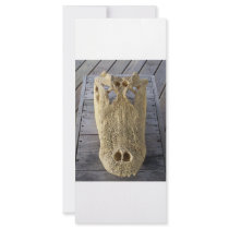 Alligator skull on wooden deck, gator head custom rack card