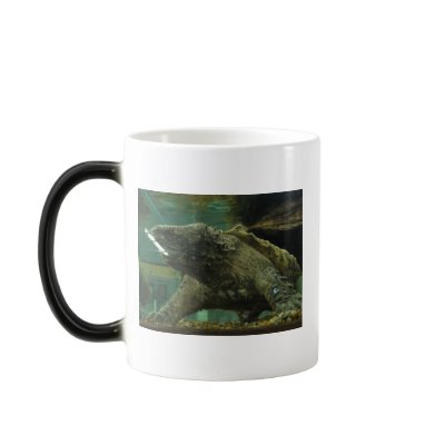 alligator snapping turtle mugs by jaylichtenberger
