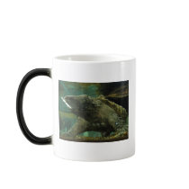 alligator snapping turtle mugs