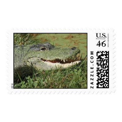 Alligator Stamp by paulcoco