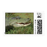 Alligator Stamp