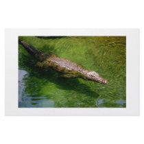 Alligator stationary customized stationery