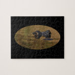 alligator surfacing puzzle