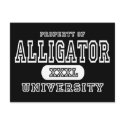 Alligator Univeristy Dark postcards by universityshirts Alligator Univeristy Dark postcards