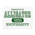 Alligator University postcards by universityshirts Alligator University postcards