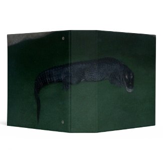 Alligator ~ What's in the Dark? binder