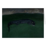 Alligator ~ What's in the Dark? Cards