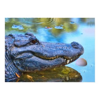 Alligator With Golfball Print print