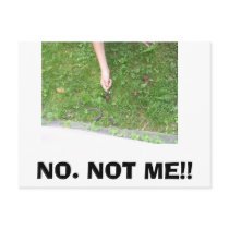 Alligators-2 080, NO. NOT ME!! postcards by cc1234 Alligators-2 080, NO. NOT ME!! postcards