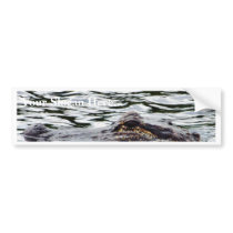 Alligators bumper stickers by lifesphere Alligators bumper stickers