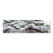 Alligators bumper stickers by lifesphere Alligators bumper stickers