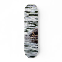 Alligators skateboards