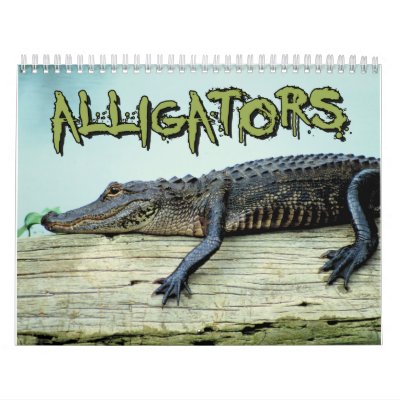 Alligators Wall Calendar by ColorShow