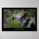 "Allison's Pond" - Print
