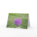 ALLIUM BLOOM cards by dequilla ALLIUM BLOOM cards