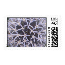 Allium Closeup Stamp