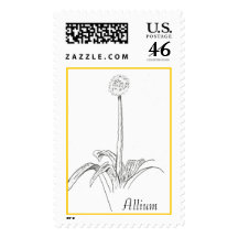 Allium Postage Stamp