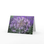 Allium/Salvia Greeting Card
