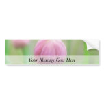 Allium Schoenoprasum - Chive bud Bumper Sticker