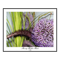 Allium Watercolor - Colossal Size posters by SherryHolderHunt Allium Watercolor - Colossal Size posters