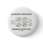 Allopatric Speciation Amongst Fruit Flies Pins