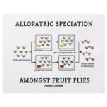 Allopatric Speciation Amongst Fruit Flies Full Color Flyer