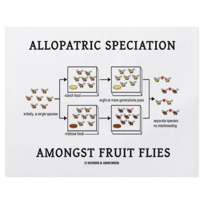 Allopatric Speciation Amongst Fruit Flies Full Color Flyer by wordsunwords