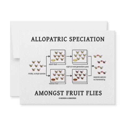 Allopatric Speciation Amongst Fruit Flies Custom Invites by wordsunwords