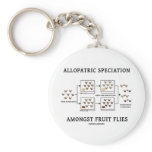 Allopatric Speciation Amongst Fruit Flies Keychains