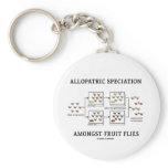 Allopatric Speciation Amongst Fruit Flies Key Chains
