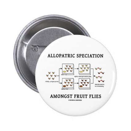 Allopatric Speciation Amongst Fruit Flies Pins