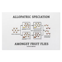 Allopatric Speciation Amongst Fruit Flies stationery