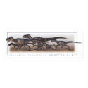Allosaurus Hunting Party posters by DemonPuppy Allosaurus Hunting Party posters