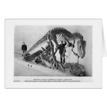 Allosaurus skeleton art card