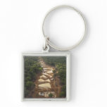 Alluvial Gold Mining. Rainforest, Guyana. Key Chain