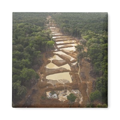 Alluvial Gold Mining. Rainforest, Guyana. Refrigerator Magnets by danitadelimont