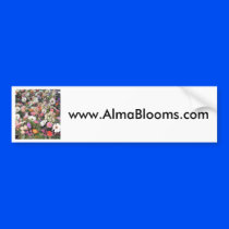 Alma Blooms 1