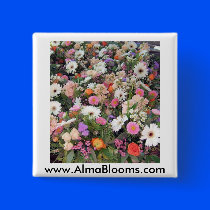 Alma Blooms 1