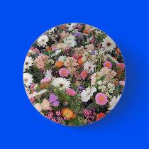 Alma Blooms 1