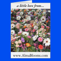 Alma Blooms 1